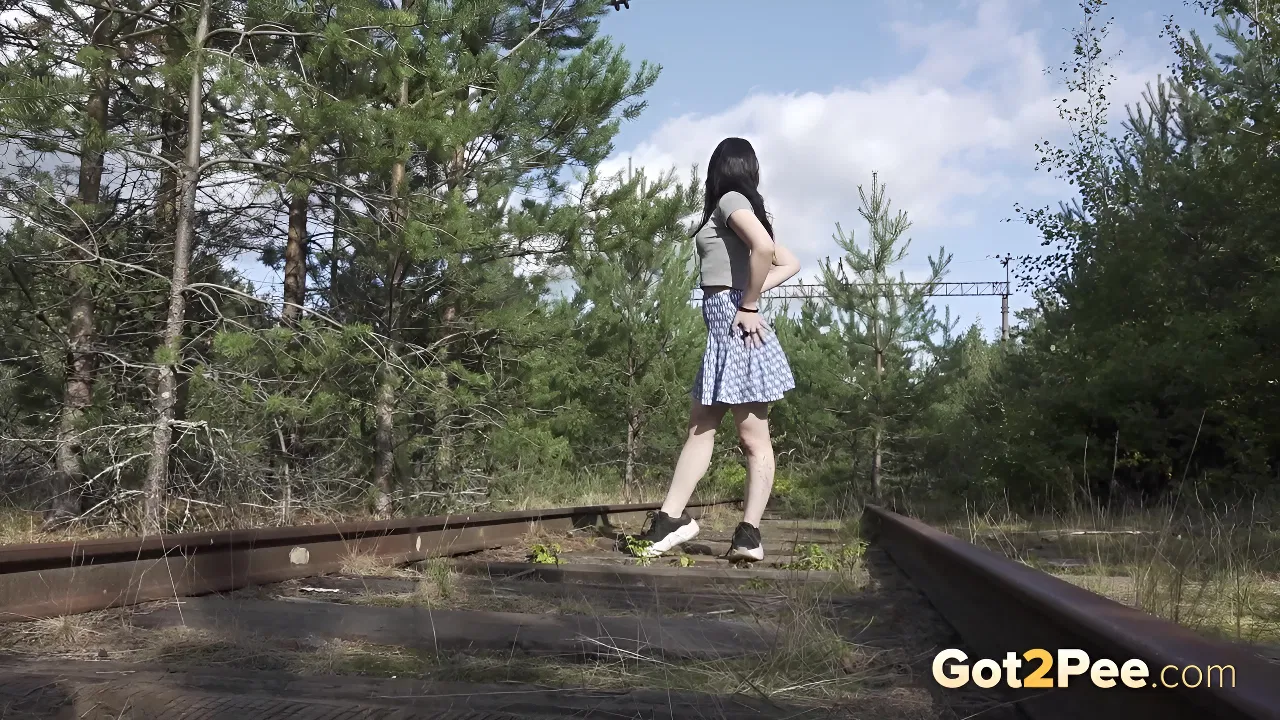 25Pissing On A Railway