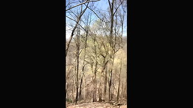 35366XshayXshayX1 Nature Peegas3tf