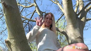 41Up In A Tree