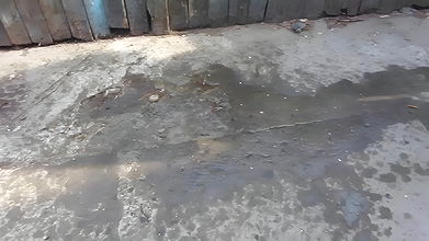 440669I was a Big sing Stream