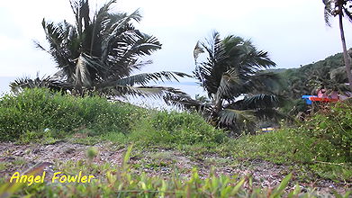 59Angel Fowler Public Pee Woman