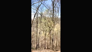 665366XshayXshayX1 Nature Pee