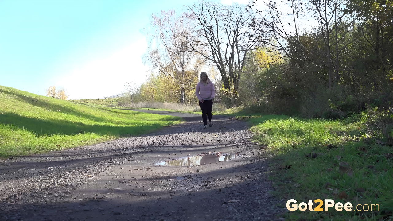 923512094ddle sing 530ht3h