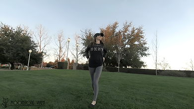 onstone Vixen Dusk park walk