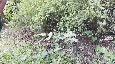 Bhabhi jungle apni brother-in-law se ass marawana chahta rahi aur brother-in-law sister-in-law ki aaj gad maar ega badi loud se