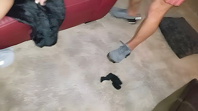 Cuckold bi gagging Kira Adams comes by for a supreme plowing time at very first Jmac is_8e1016e4