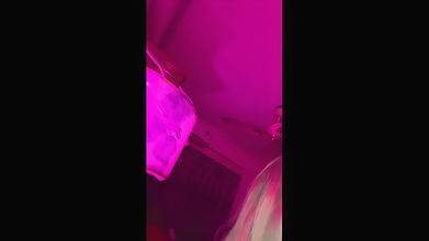 Bangladeshi shemale live collection – 9