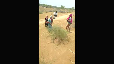 Sexy Reel collection