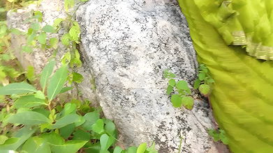 The Labourer Boy and Girl Working in the Field Went to the Jungle