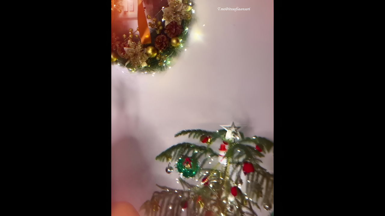 SOFIA ANSARI SLUTTY SEXY CHRISTMAS GIFT WE DESIRE 22