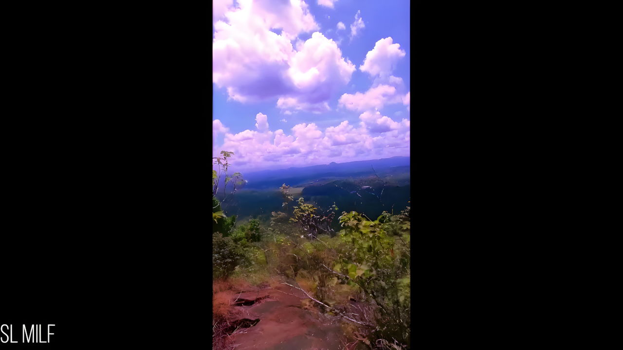 Risky Quick Public Sex in Jungle with Big Tits Girl Friend