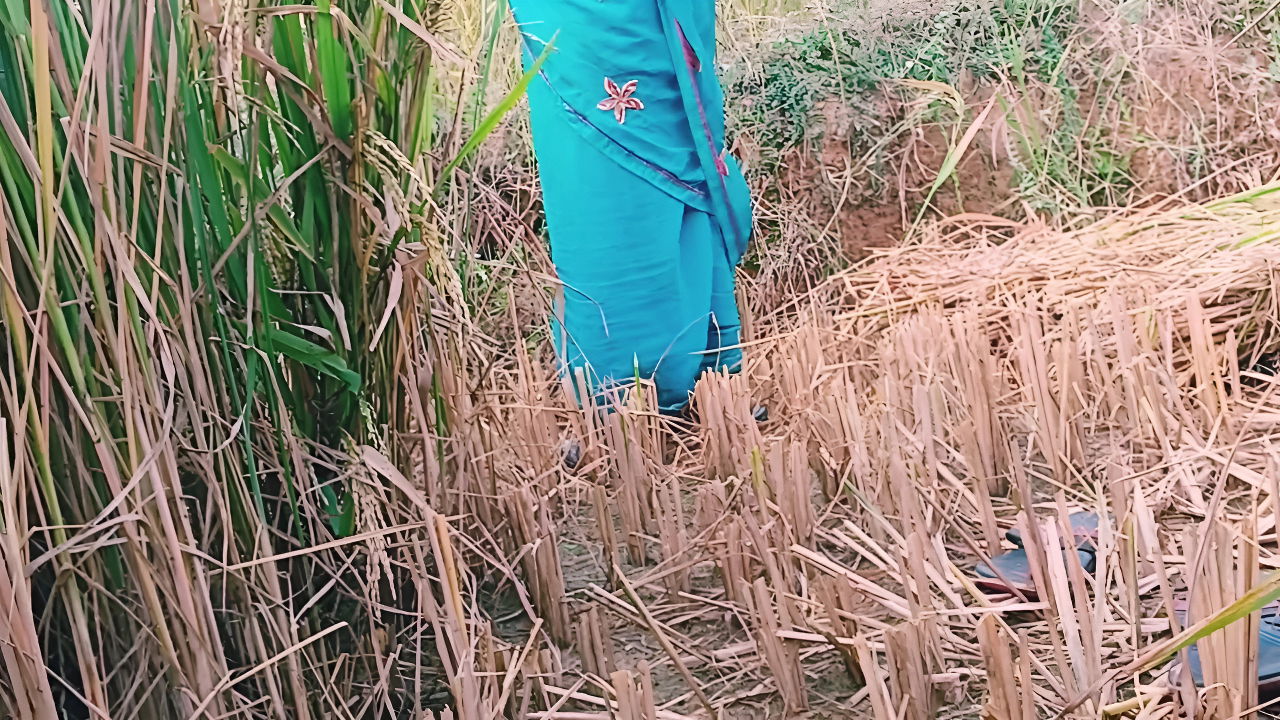 Riya Bhabhi and Her Brother-in-law Had Gone to the Field
