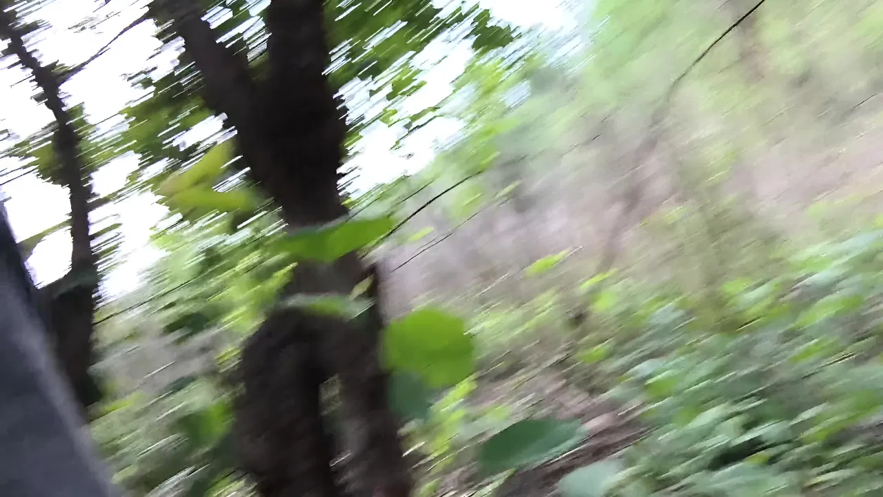 Faking My Waif XXX Video