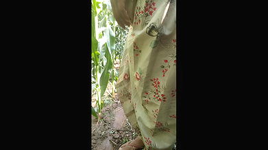 Fingering Hot Girl Self Sex Video