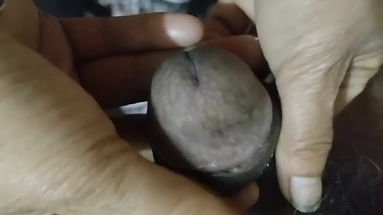 Foreplay Cock Sucking Foreplay Her Step Uncle Huje Cock Hot Boobs