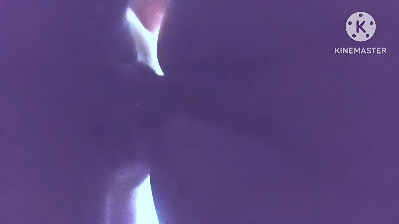 Girl Sex Bengali Hindi Kolkata Bengali Sex Romantic Sex Big Big Big Big Ass Big Local