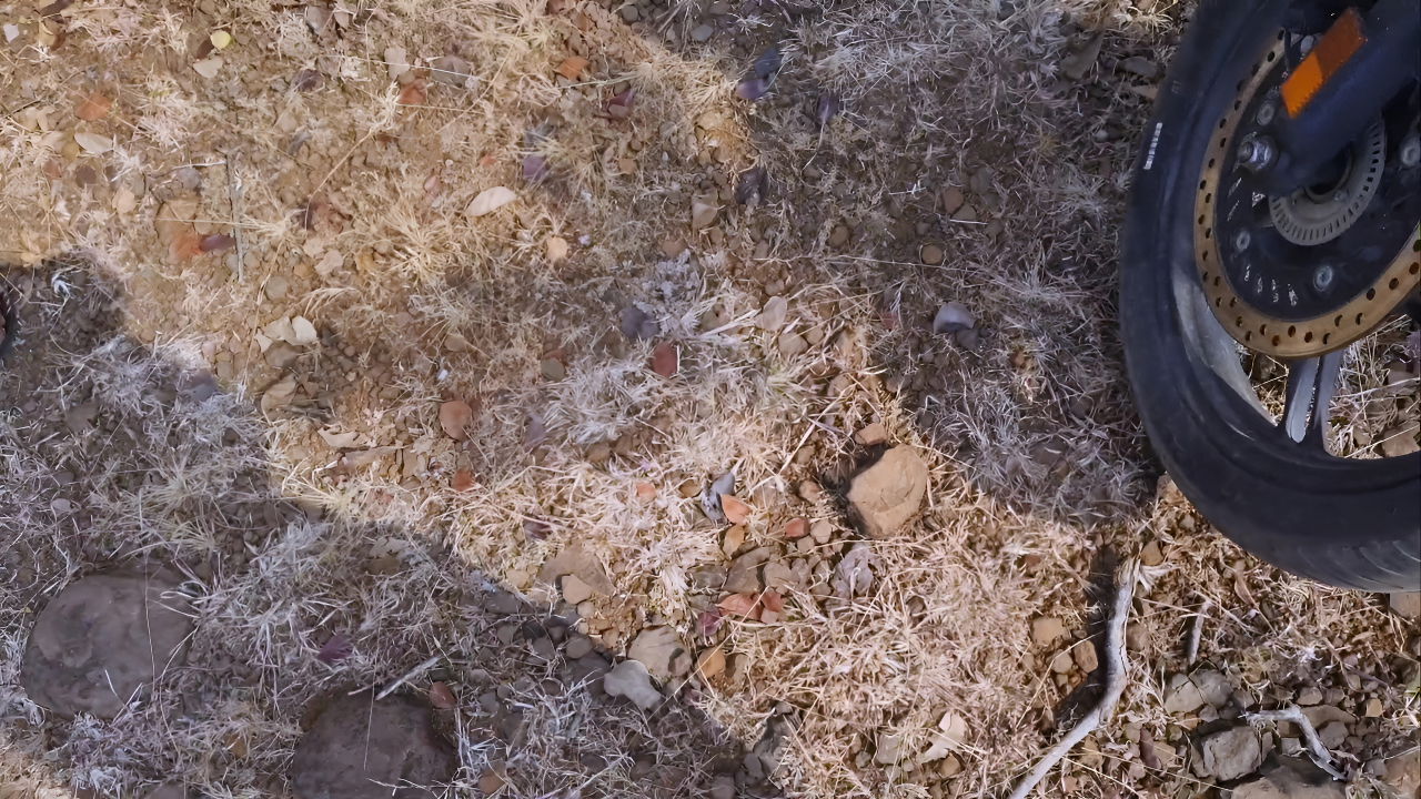 Desi Village Story – Bhabhi Used to Pluck Karvand Fruits From the Forest and Sell Them in the City – Hindi Audio XXX Movies.