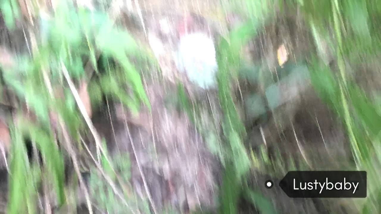 Nepali Forest Adventures 2.6