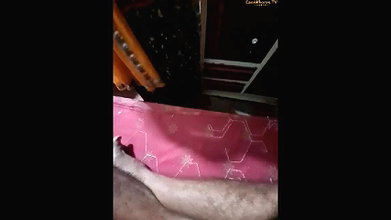 Sh Stripchat collection 186