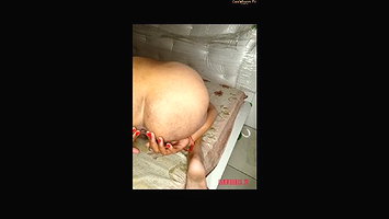 Sh Stripchat collection 266