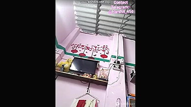 Sh Stripchat collection 331