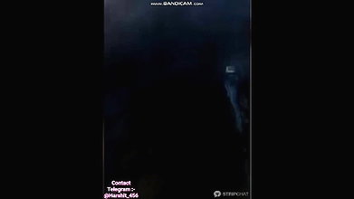 Sh Stripchat collection 469
