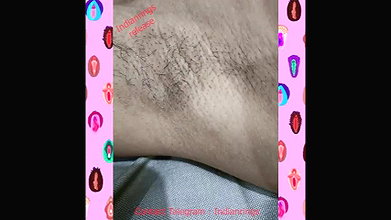 Sh Stripchat collection 503