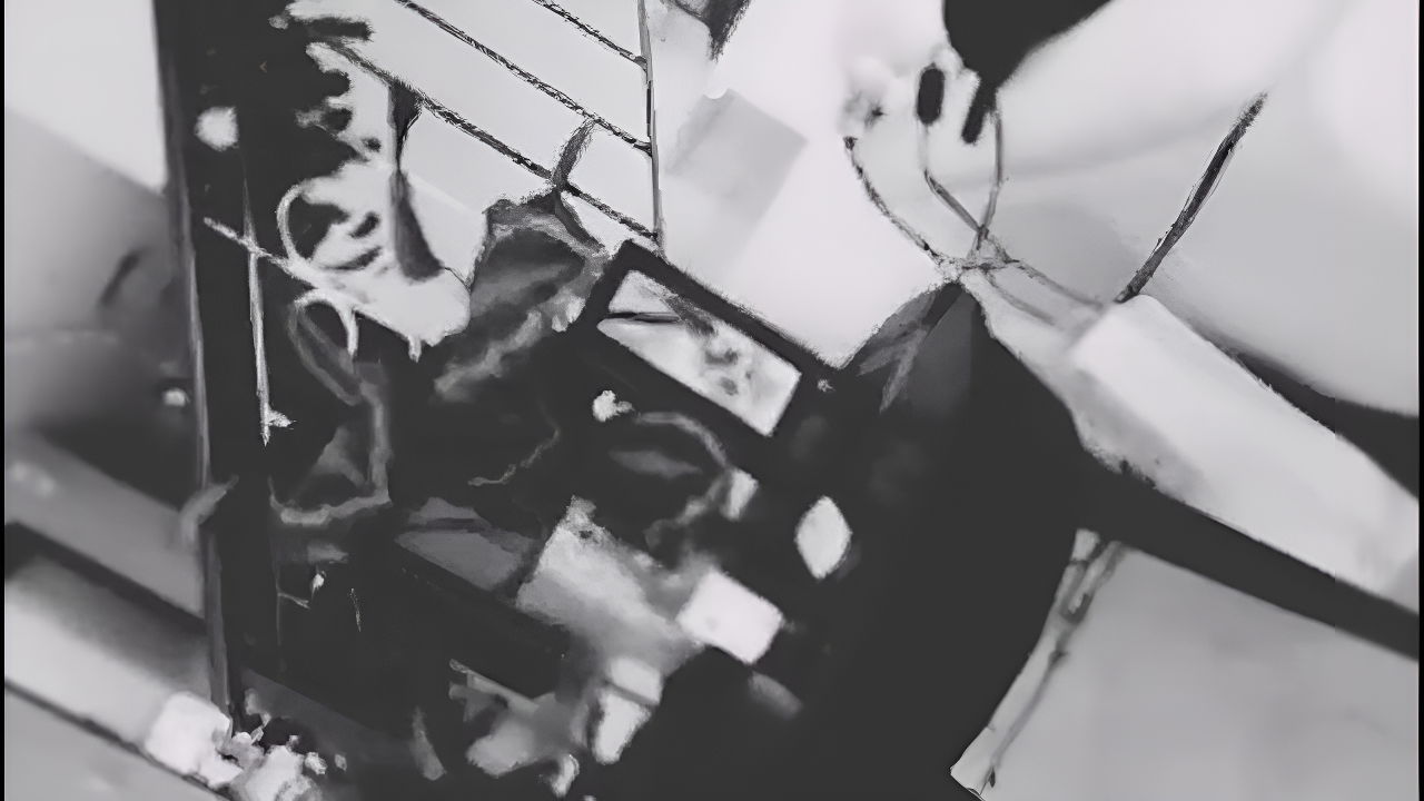 Cute College Girl Sucked the Penis and Licked Her Pussy, Then There Was a Fierce Fuck