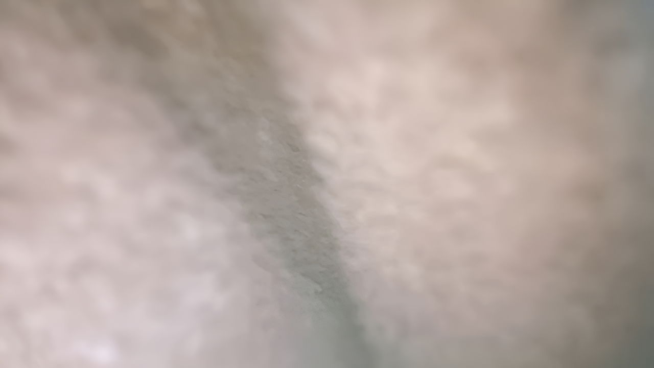 Very Will My Love Wife