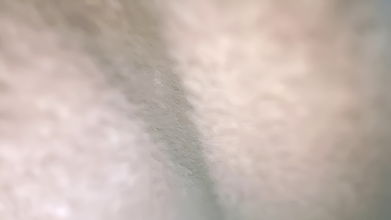 Very Will My Love Wife