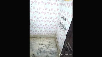 Sh Stripchat collection 1264