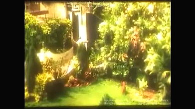 Nakshatirangal Mallu B Grade Movie