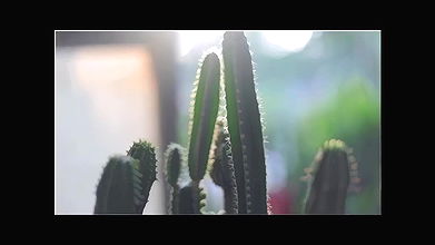 Disha Patani For Cosmopolitan May 18  Bts