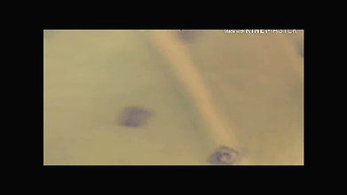 Desi Girl Upskirt in Mall HD