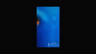 hz_27338A_2_001