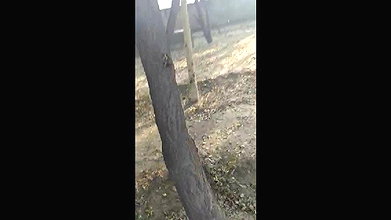 Indian Couple Outdoor Fucked