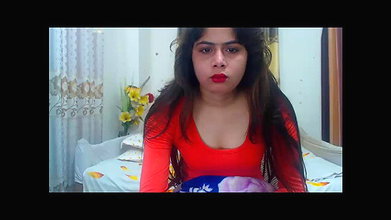 New premium cam collection – 336