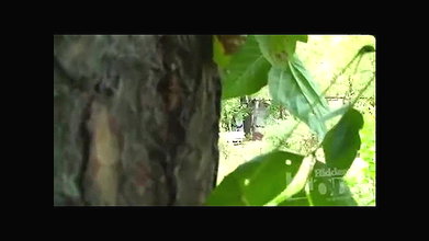 Amateur sex with russian prostitute in the park (1)