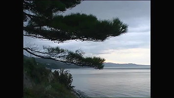 Galitsin-News _#8211; 001 Tender Waves Katerina Olesia Valentina