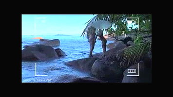 honey moon couples fucking in goa sea shore (hidden cam vdio)