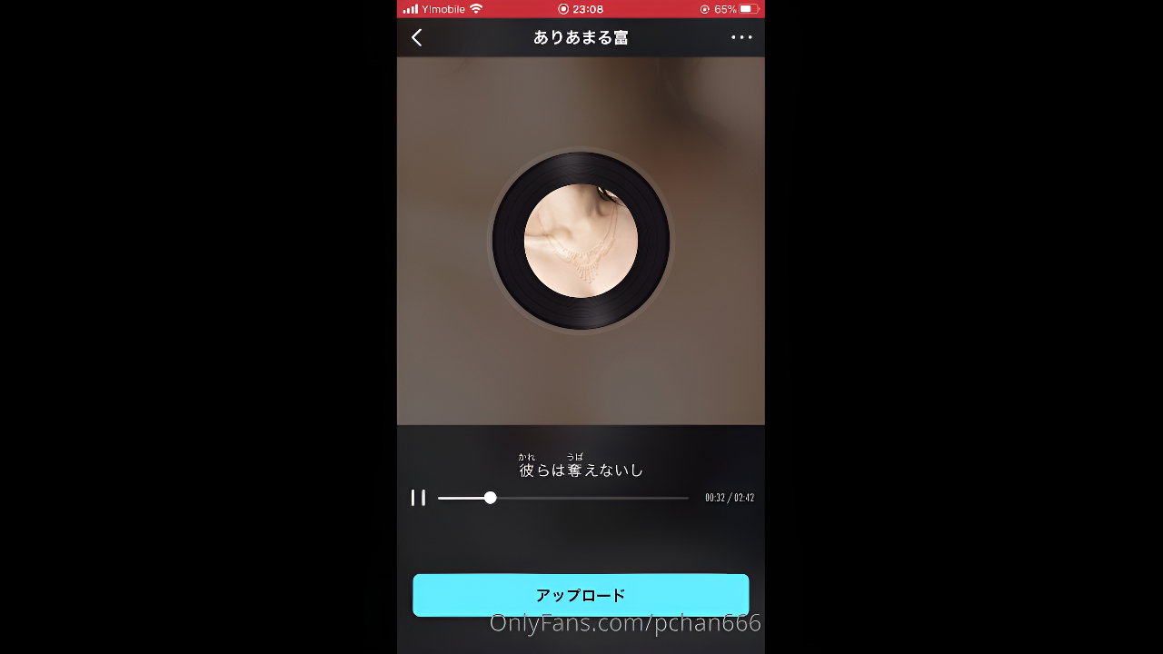 Pchan666 Onlyfans video collection – 27
