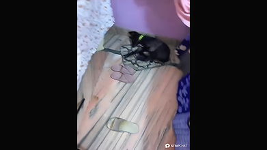 MissHermione2 Cpl show