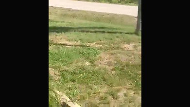 Cum on Hot Blonde After Outdoor Public Sex_adc4dd51