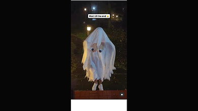 Outdoor public solo first time Home Away From Home Away From Home_23b63d01