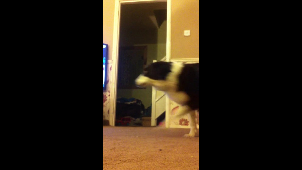 2-girls-doing-crazy-things-naked_redband