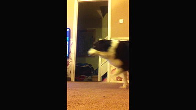 2-girls-doing-crazy-things-naked_redband