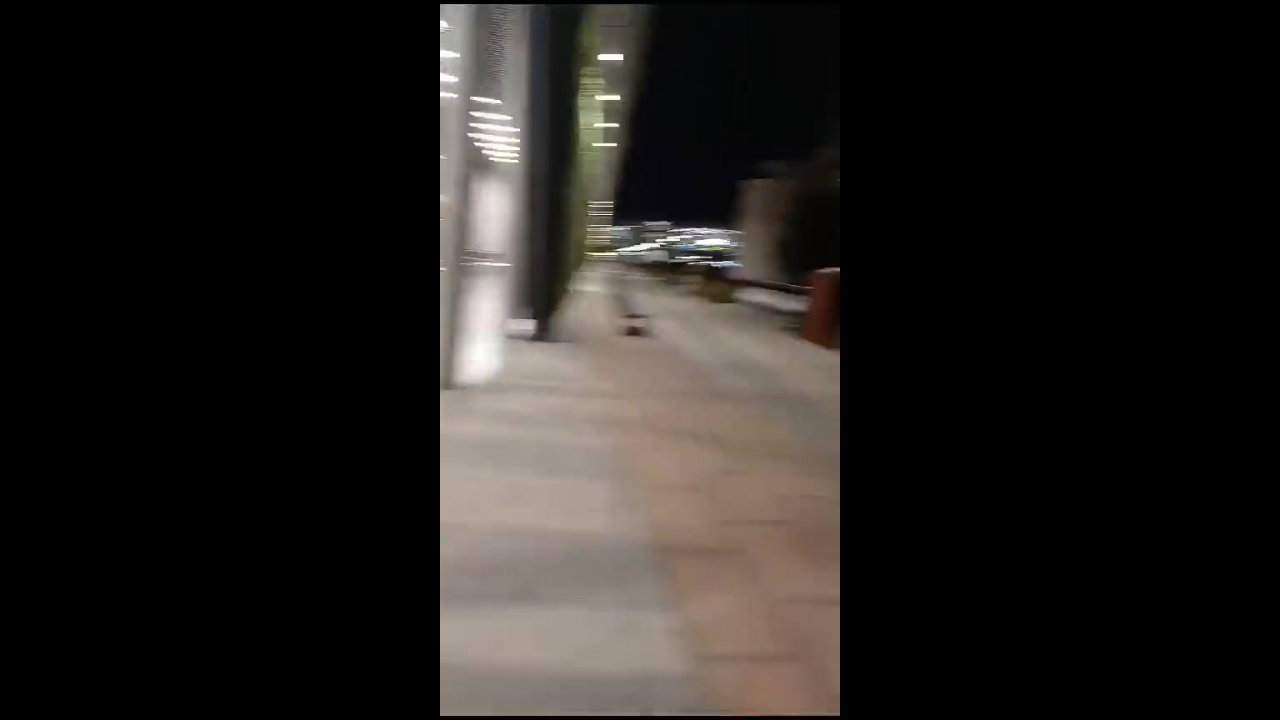 Crazy_Woman_Naked_at_Chilean_Airport