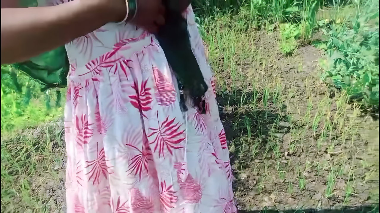 desi bhabhi ko kheto me ghodi banake chudai kiya