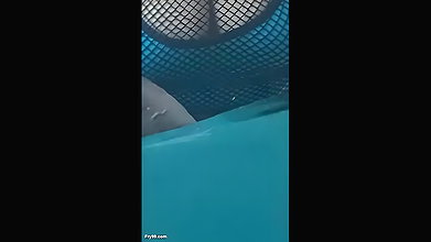GF’s mind-blowing blowjob to her lover