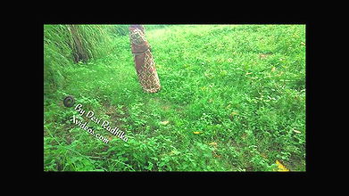 राधिका भाभी की खेत मे हुई चुदाई विडियो हुआ वायरल हिन्दी मे अश्लील वीडियो